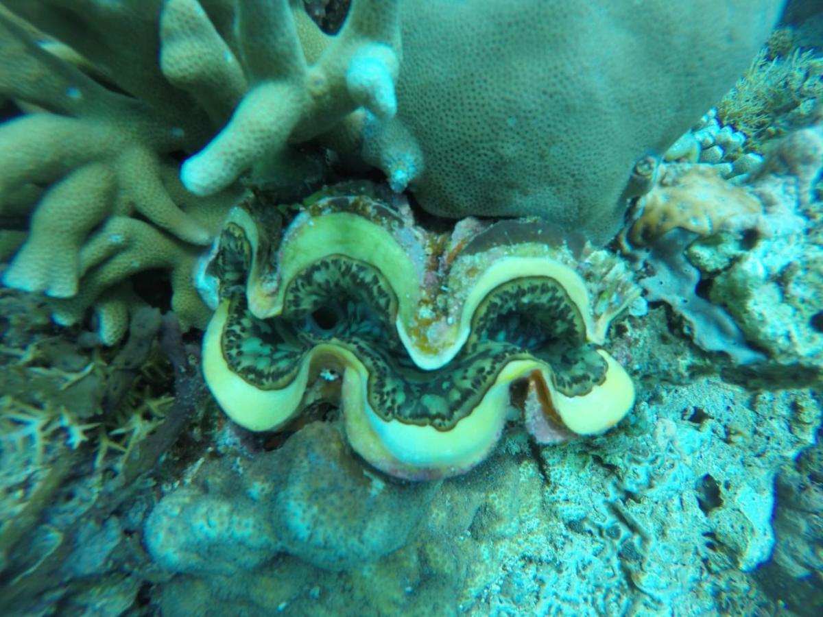 ファンタスティック コテージズ ギリ島 エクステリア 写真