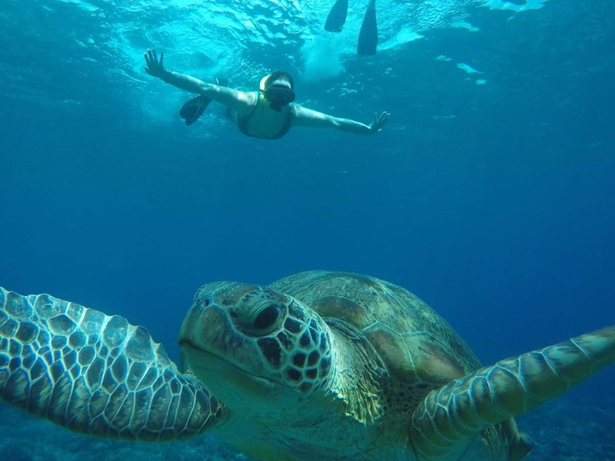 ファンタスティック コテージズ ギリ島 エクステリア 写真